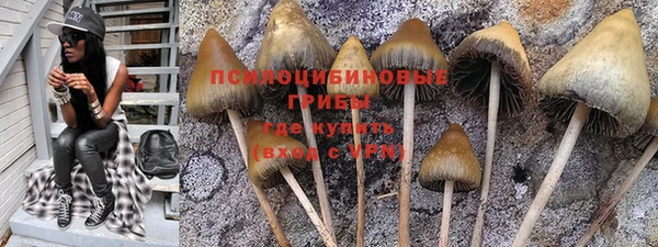 молекула духа Алексин