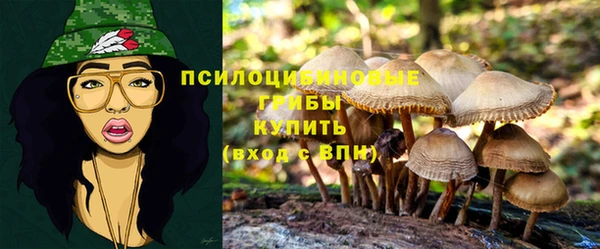 молекула духа Алексин