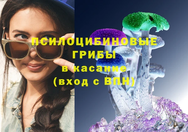 гидропоника Алексеевка