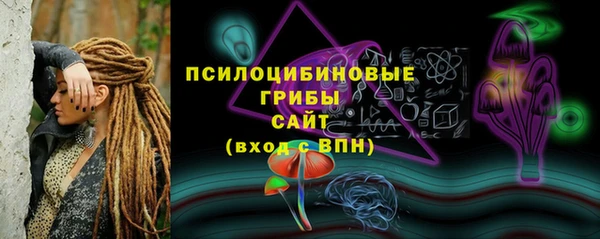 молекула духа Алексин