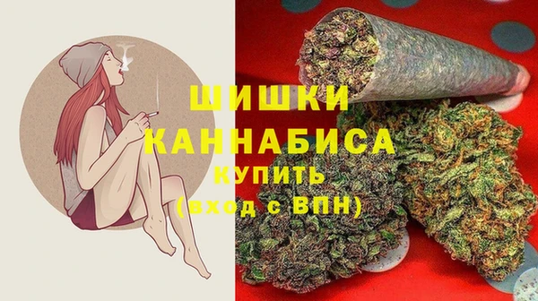 винт Алзамай