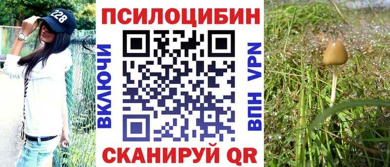 Галлюциногенные грибы мухоморы  наркошоп  Котлас 